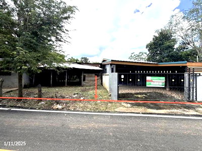 ขายบ้านเดี่ยว : บ้านเดี่ยว 116 ตร.วา ภูเขียว ชัยภูมิ 1.3M