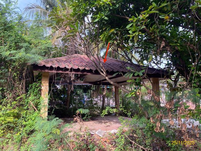 รูป บ้านเดี่ยว 2000 ตร.วา นครชัยศรี นครปฐม 20.5M - รูปที่ 13/49