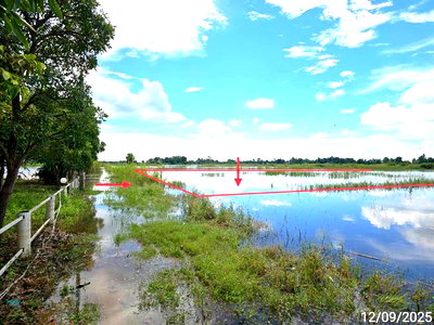 Land for sale Phitsanulok : LAND 2520 Sq.w. Wang Thong Phitsanulok for 1.4M