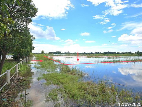LAND 2520 Sq.w. Wang Thong Phitsanulok for 1.4M