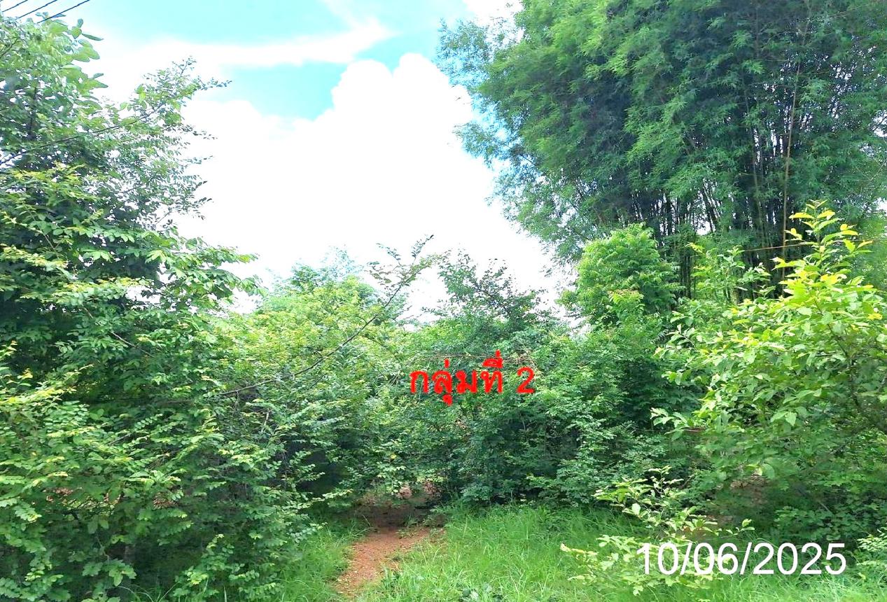picture LAND 746 Sq.w. Mae Tha Lamphang for 656,000 - 16/21