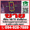 listing thumbnail image 6