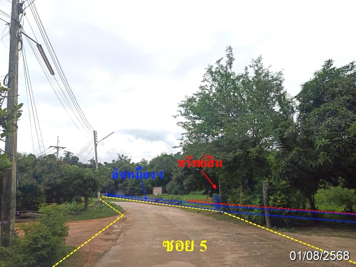 picture LAND 2211.4 Sq.w. Fang Chiang Mai for 2M - 14/19