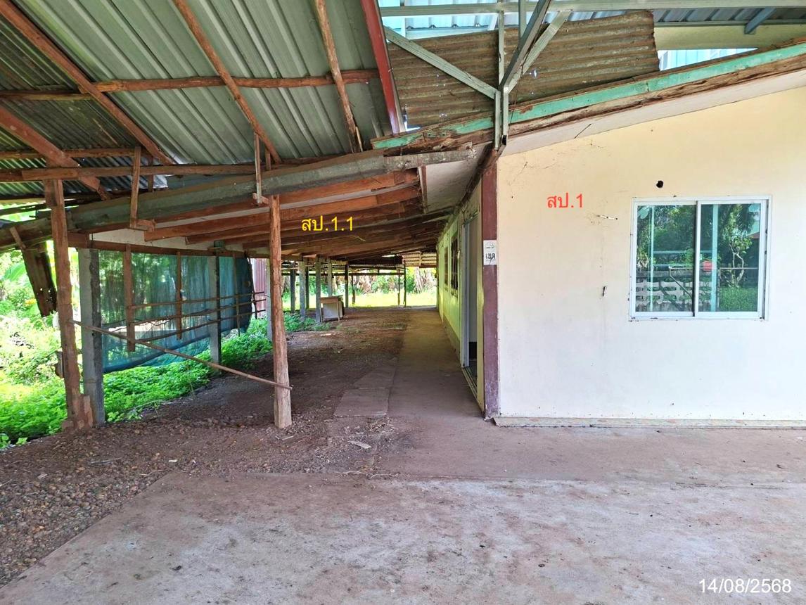 รูป บ้านเดี่ยว 360 ตร.วา เมืองสกลนคร สกลนคร 1.6M - รูปที่ 36/45