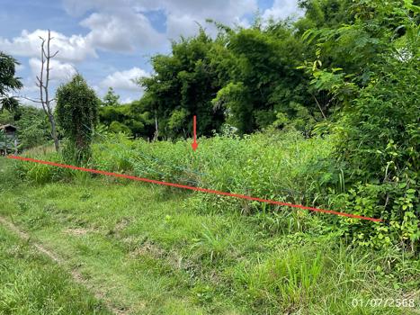 picture LAND 208 Sq.w. Pho Sai Ubon Ratchathani for 142,000 - 18/21