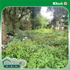 listing thumbnail image 18