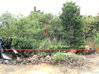 listing thumbnail image 14