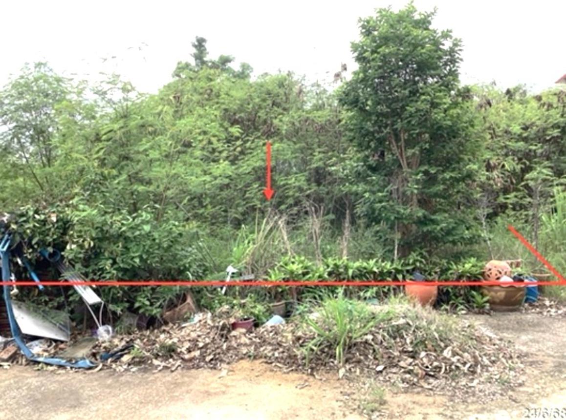 รูป ที่ดินว่างเปล่า 113.5 ตร.วา กันณิชา หัวหิน ประจวบคีรีขันธ์ 4.5M - รูปที่ 15/19
