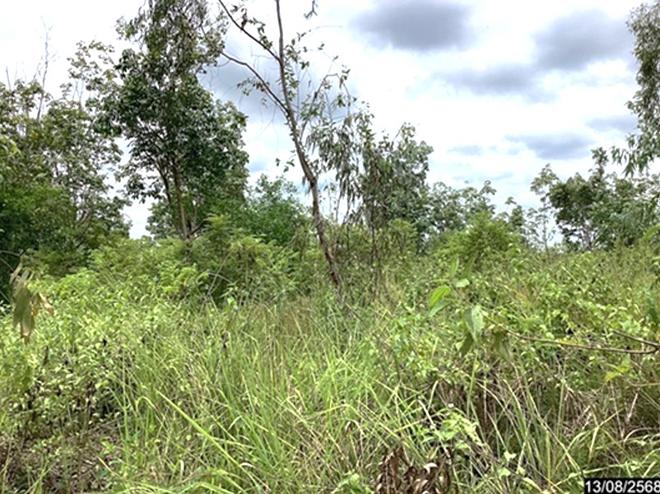 picture LAND 12067 Sq.w. Kut Chap Udon Thani for 4.5M - 6/19
