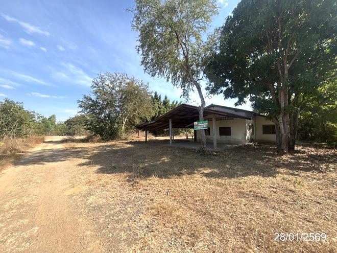 รูป บ้านเดี่ยว 229 ตร.วา เฉลิมพระเกียรติ นครราชสีมา 682,000 - รูปที่ 13/31