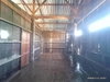 listing thumbnail image 31