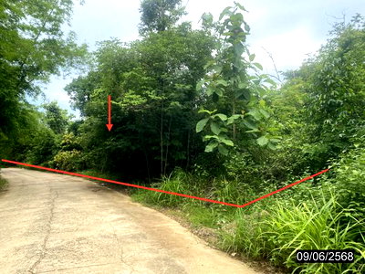 Land for sale Lom Kao Phetchabun : LAND 3030 Sq.w. Lom Kao Phetchabun for 985,000