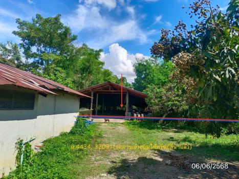 picture FACTORY 4023 Sq.w. Wiang Chai Chiang Rai for 4.5M - 22/25