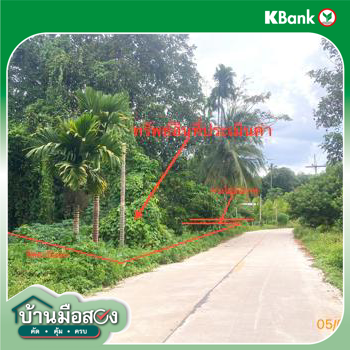 รูป ที่ดินว่างเปล่า 321.8 ตร.วา บ้านนาเดิม สุราษฎร์ธานี 644,000 - รูปที่ 13/15