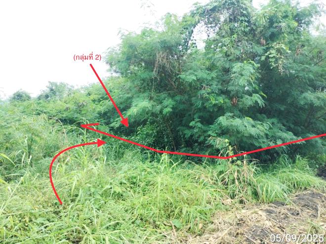 รูป ที่ดินว่างเปล่า 850 ตร.วา ยุพนัย แก่งคอย สระบุรี 1.5M - รูปที่ 4/15