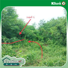 listing thumbnail image 12