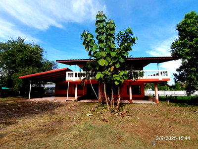 ขายบ้านเดี่ยว : บ้านเดี่ยว 800 ตร.วา เรณูนคร นครพนม 5.2M