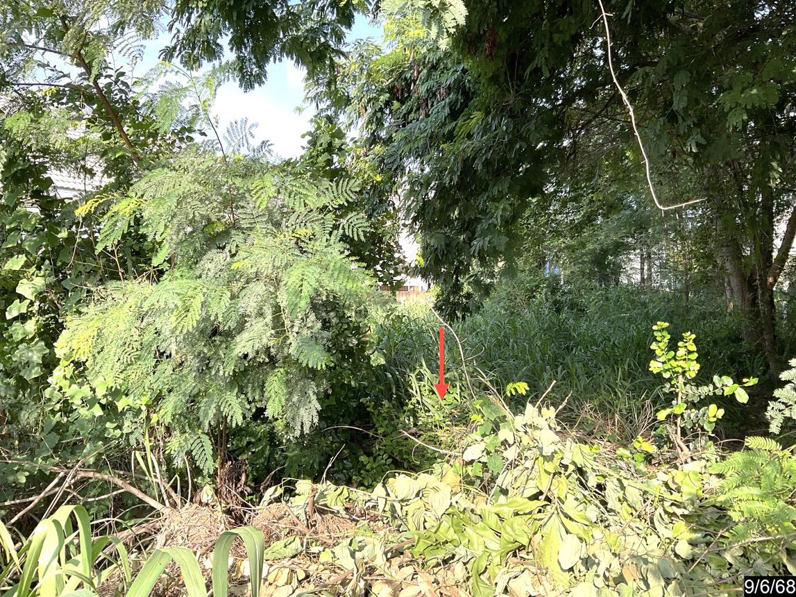 picture LAND 80 Sq.w. Muang Khon Kaen Khon Kaen for 1.2M - 11/19
