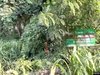 listing thumbnail image 9