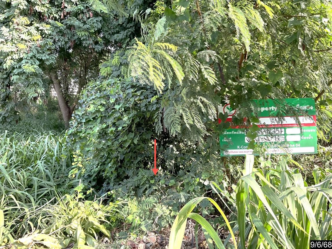 picture LAND 80 Sq.w. Muang Khon Kaen Khon Kaen for 1.2M - 10/19