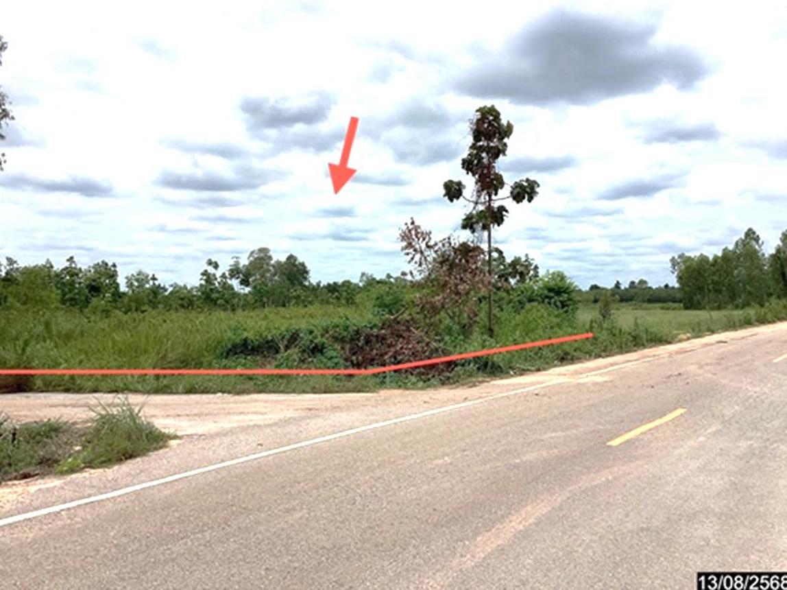 picture LAND 12067 Sq.w. Kut Chap Udon Thani for 4.5M - 10/19