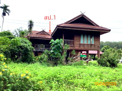 บ้านเดี่ยว ม.เทคโนโลยีราชมงคลศรีวิชัยวิทยาเขตนครศรีธรรมราช : บ้านเดี่ยว 383.6 ตร.วา ทุ่งสง นครศรีธรรมราช 5.5M