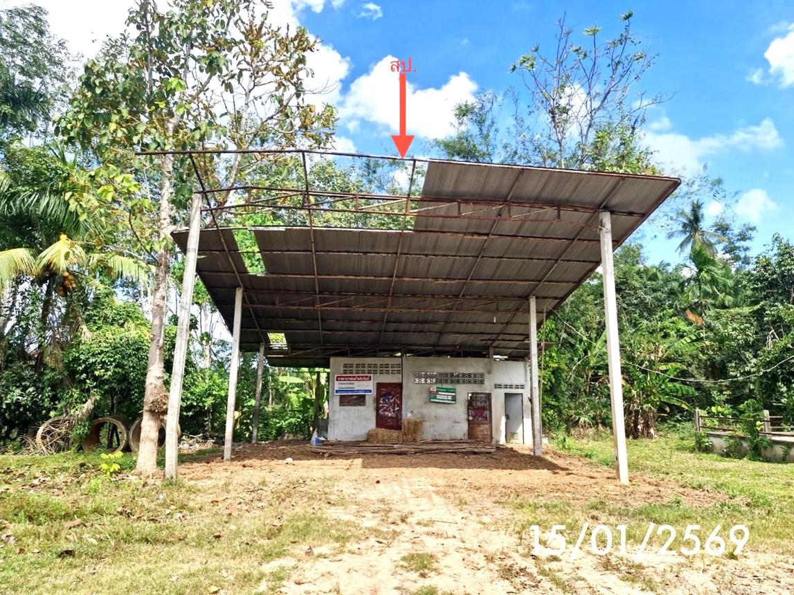 picture FACTORY 179 Sq.w. Huai Yot Trang for 962,000 - 10/19