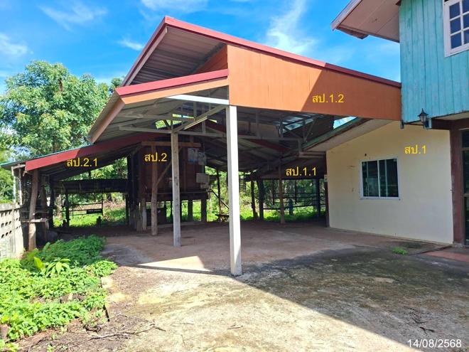 รูป บ้านเดี่ยว 360 ตร.วา เมืองสกลนคร สกลนคร 1.6M - รูปที่ 18/45