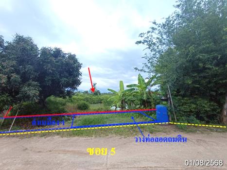 picture LAND 2211.4 Sq.w. Fang Chiang Mai for 2M - 16/19