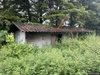 listing thumbnail image 42