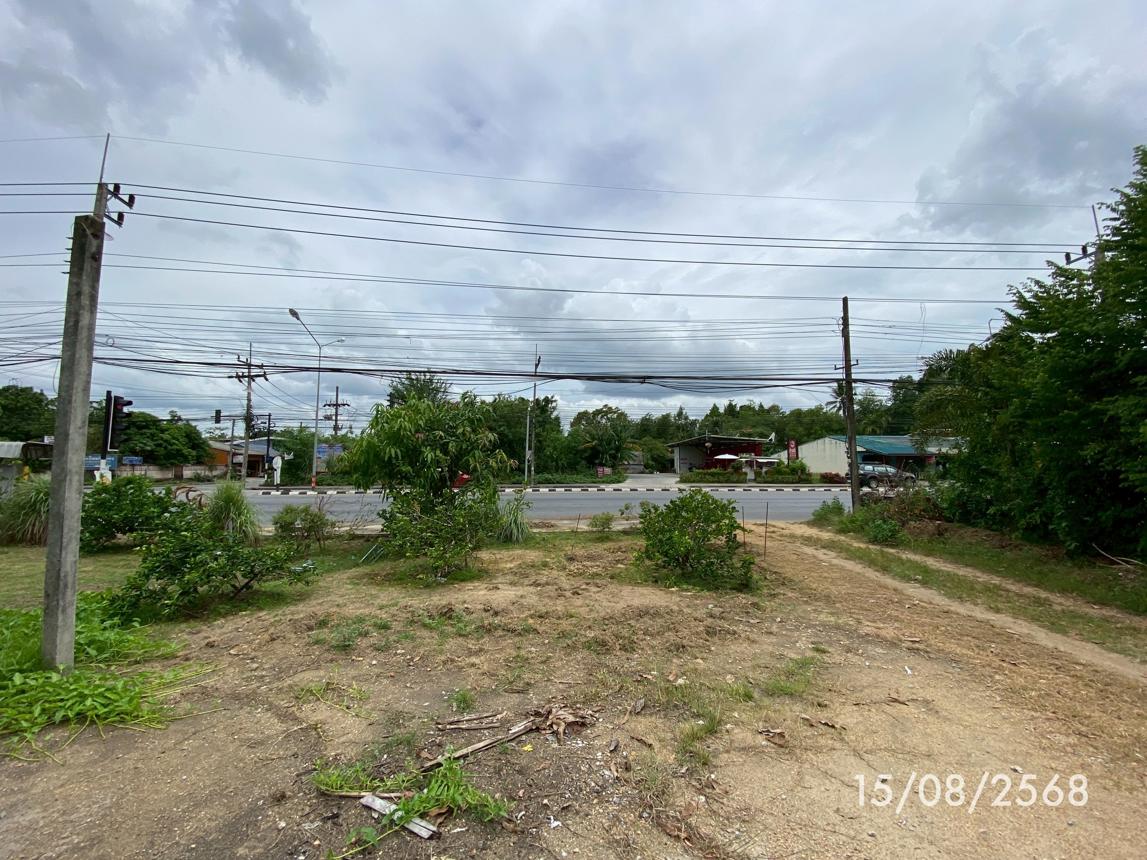 รูป ที่ดินว่างเปล่า 727.8 ตร.วา รัตภูมิ สงขลา 8.1M - รูปที่ 13/25