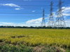 listing thumbnail image 11