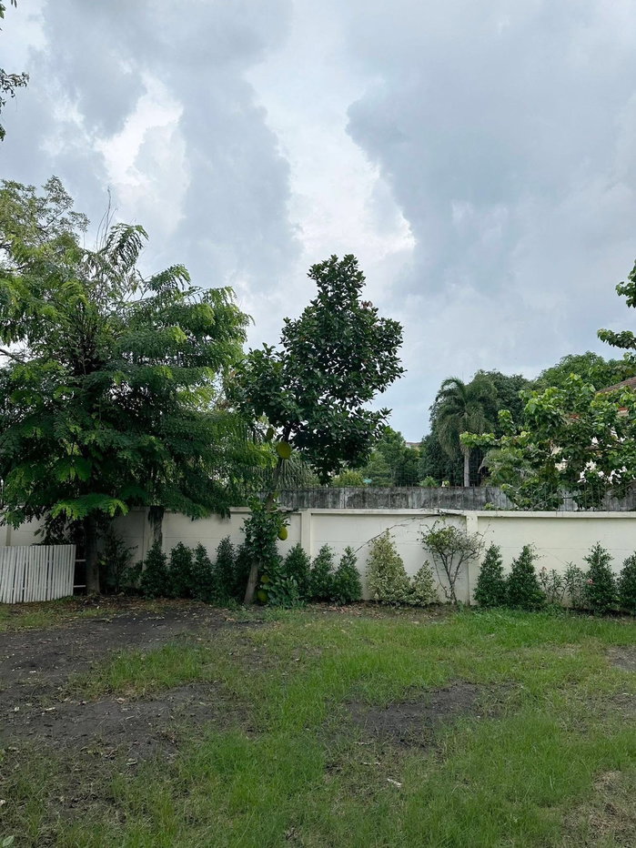 รูป ✨Hot Deal🏘️ให้เช่าบ้าน PERFECT PLACE รัตนาธิเบศร์-ไทรม้า | เข้าออกได้ทั้งทาง ถนนราชพฤกษ์ และ ถนนรัตนาธิเบศร์ | สนใจ @sacondo - รูปที่ 16/16
