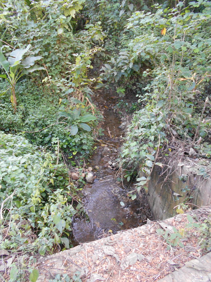 picture Land adjacent to a stream, Ban Pha Daeng, Na Yom Subdistrict, Mueang District, Phetchabun Province. - 20/29
