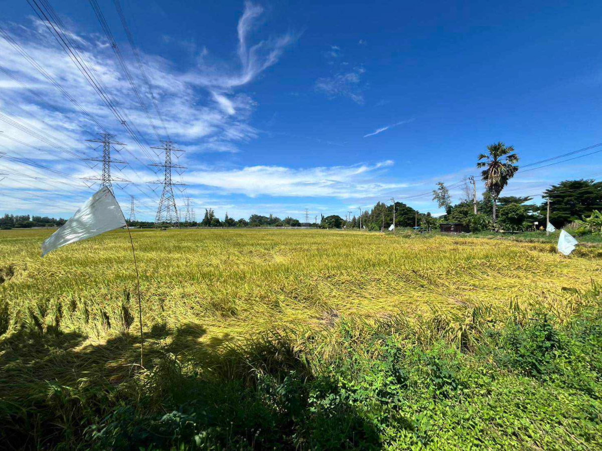 รูป ขายที่ดิน 49 ไร่ โคกแฝด–หนองจอก กรุงเทพฯ | แปลงใหญ่ ทำเลเหมาะพัฒนาโกดัง–โลจิสติกส์–โครงการลงทุน - รูปที่ 8/12