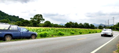 Land for sale Kaeng Khoi Saraburi : Prime Investment & Development Land for Sale in Kaeng Khoi, Saraburi