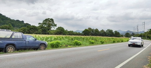 Prime Investment & Development Land for Sale in Kaeng Khoi, Saraburi