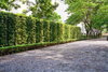 listing thumbnail image 38