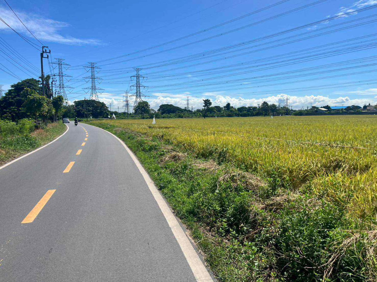 รูป ขายที่ดิน 49 ไร่ โคกแฝด–หนองจอก กรุงเทพฯ | แปลงใหญ่ ทำเลเหมาะพัฒนาโกดัง–โลจิสติกส์–โครงการลงทุน - รูปที่ 11/12