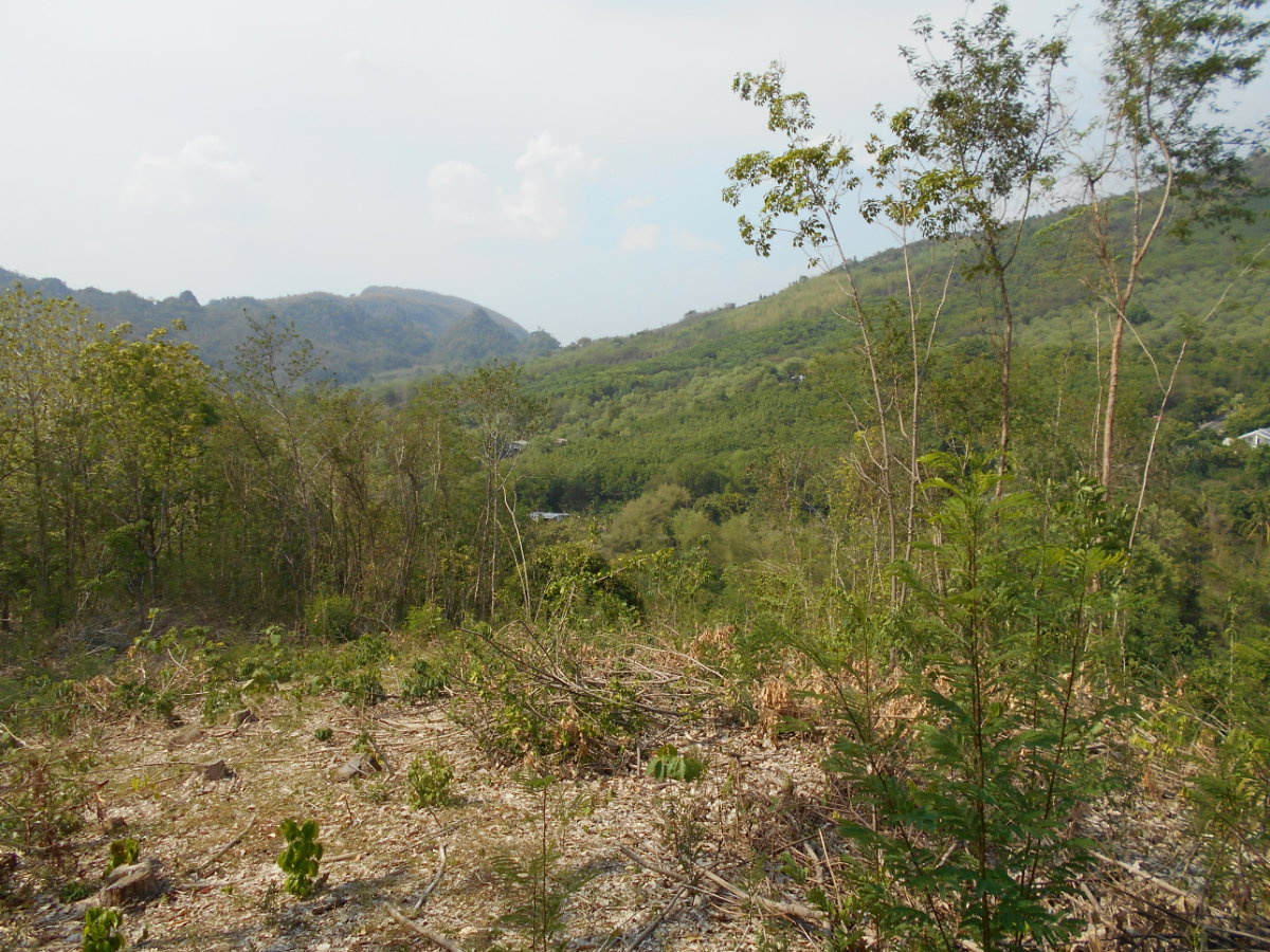 picture Land adjacent to a stream, Ban Pha Daeng, Na Yom Subdistrict, Mueang District, Phetchabun Province. - 13/29