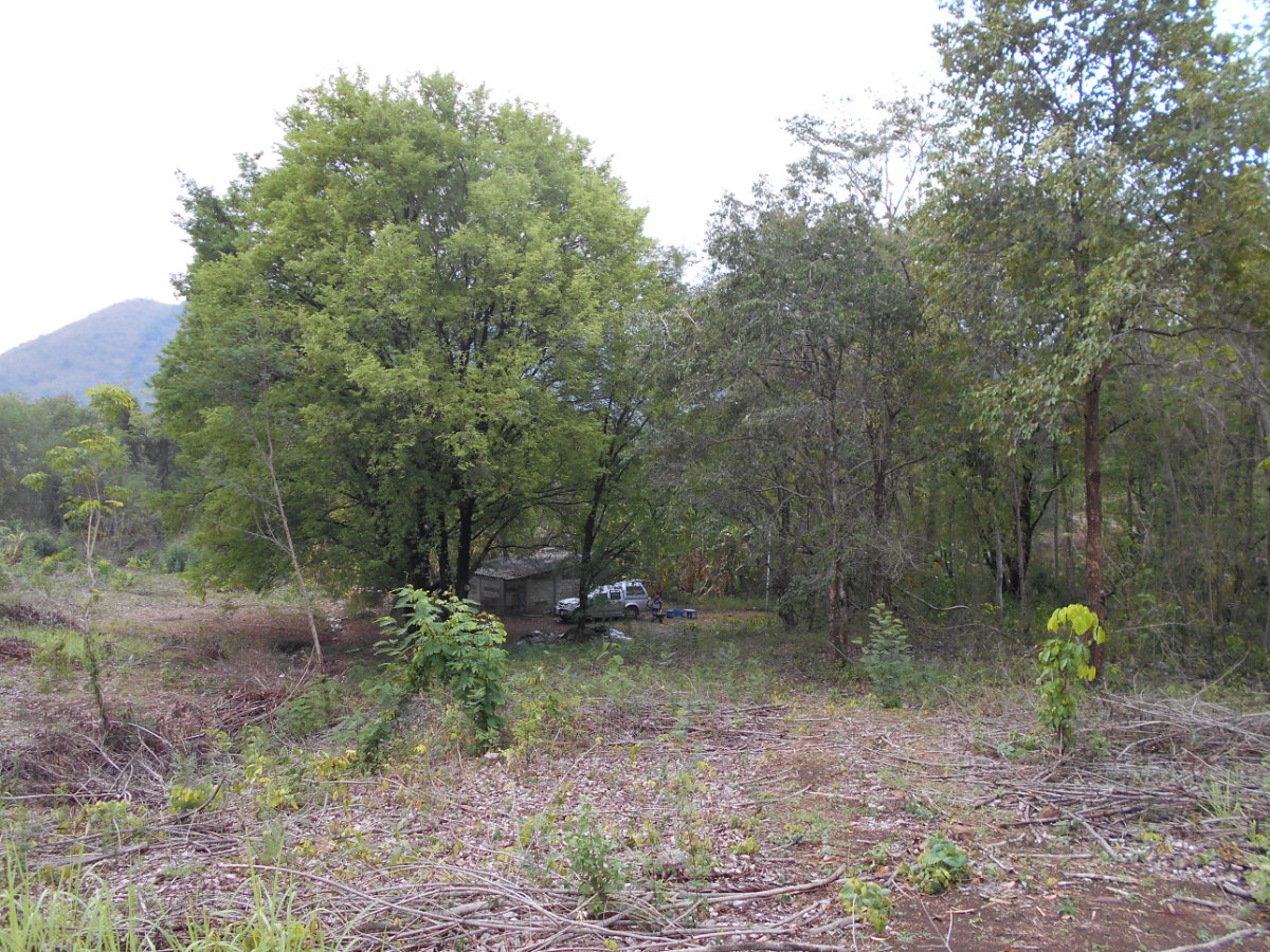 picture Land adjacent to a stream, Ban Pha Daeng, Na Yom Subdistrict, Mueang District, Phetchabun Province. - 5/29