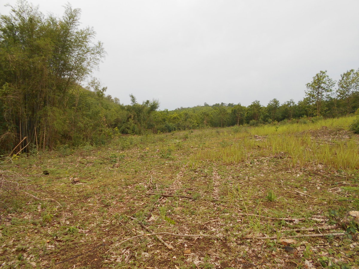 picture Land adjacent to a stream, Ban Pha Daeng, Na Yom Subdistrict, Mueang District, Phetchabun Province. - 2/29