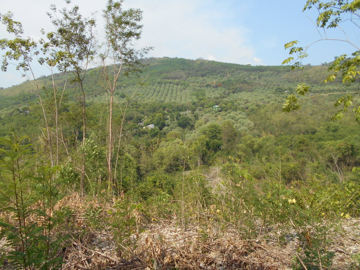 picture Land adjacent to a stream, Ban Pha Daeng, Na Yom Subdistrict, Mueang District, Phetchabun Province. - 14/29
