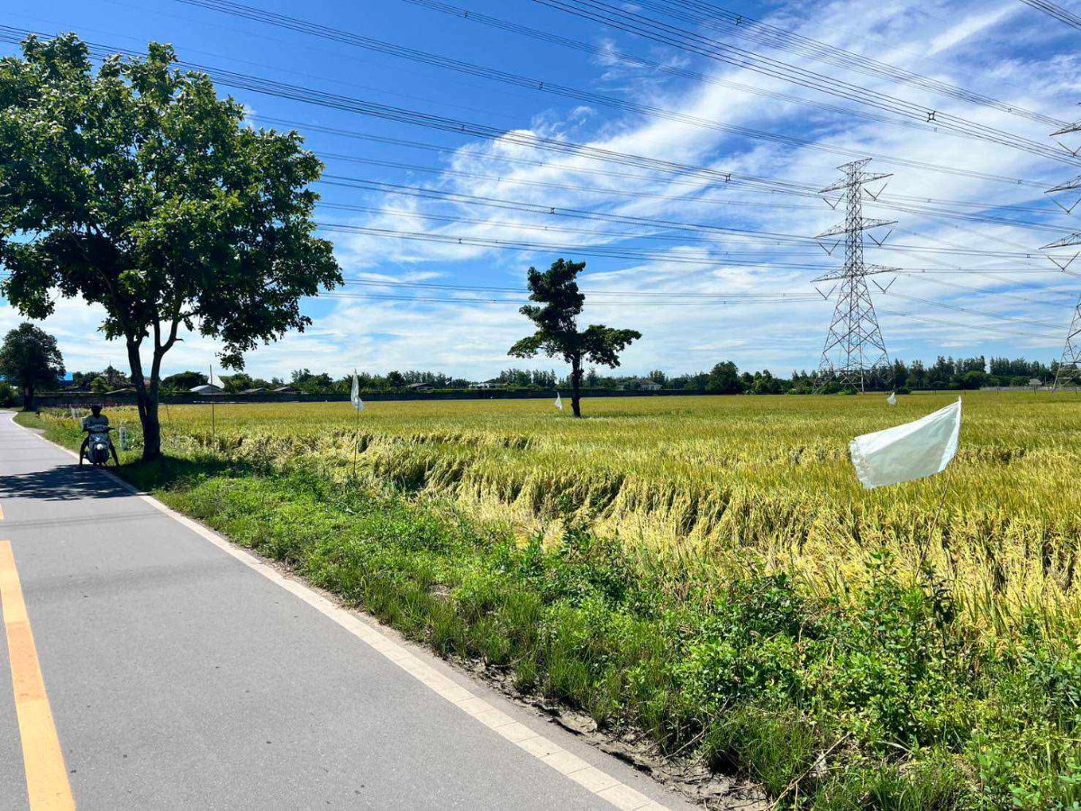 รูป ขายที่ดิน 49 ไร่ โคกแฝด–หนองจอก กรุงเทพฯ | แปลงใหญ่ ทำเลเหมาะพัฒนาโกดัง–โลจิสติกส์–โครงการลงทุน - รูปที่ 7/12