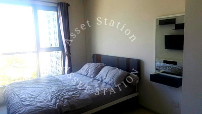 คอนโดให้เช่า : Life Sukhumvit 48 |🚄 ใกล้ BTS พระโขนง และ  Emquartier