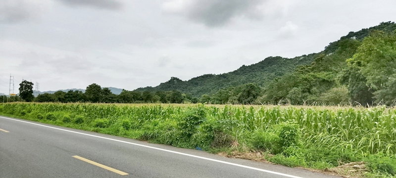 picture Prime Investment & Development Land for Sale in Kaeng Khoi, Saraburi - 7/10
