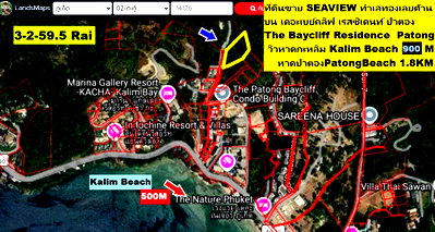 ที่ดิน หาดป่าตอง : ขายที่ดิน 3-2-59.5 ไร่ RAI ซีวิว SEAVIEW ป่าตอง ภูเก็ต แปลง GOLDEN  LAND เนินเขาทำเลดีเยี่ยม เซอวิส คอนโดขึ้นมากรอบๆอาทิ The Baycliff Residence ใกล้ๆ