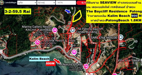 ขายที่ดิน 3-2-59.5 ไร่ RAI ซีวิว SEAVIEW ป่าตอง ภูเก็ต แปลง GOLDEN  LAND เนินเขาทำเลดีเยี่ยม เซอวิส คอนโดขึ้นมากรอบๆอาทิ The Baycliff Residence ใกล้ๆ