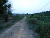listing thumbnail image 12