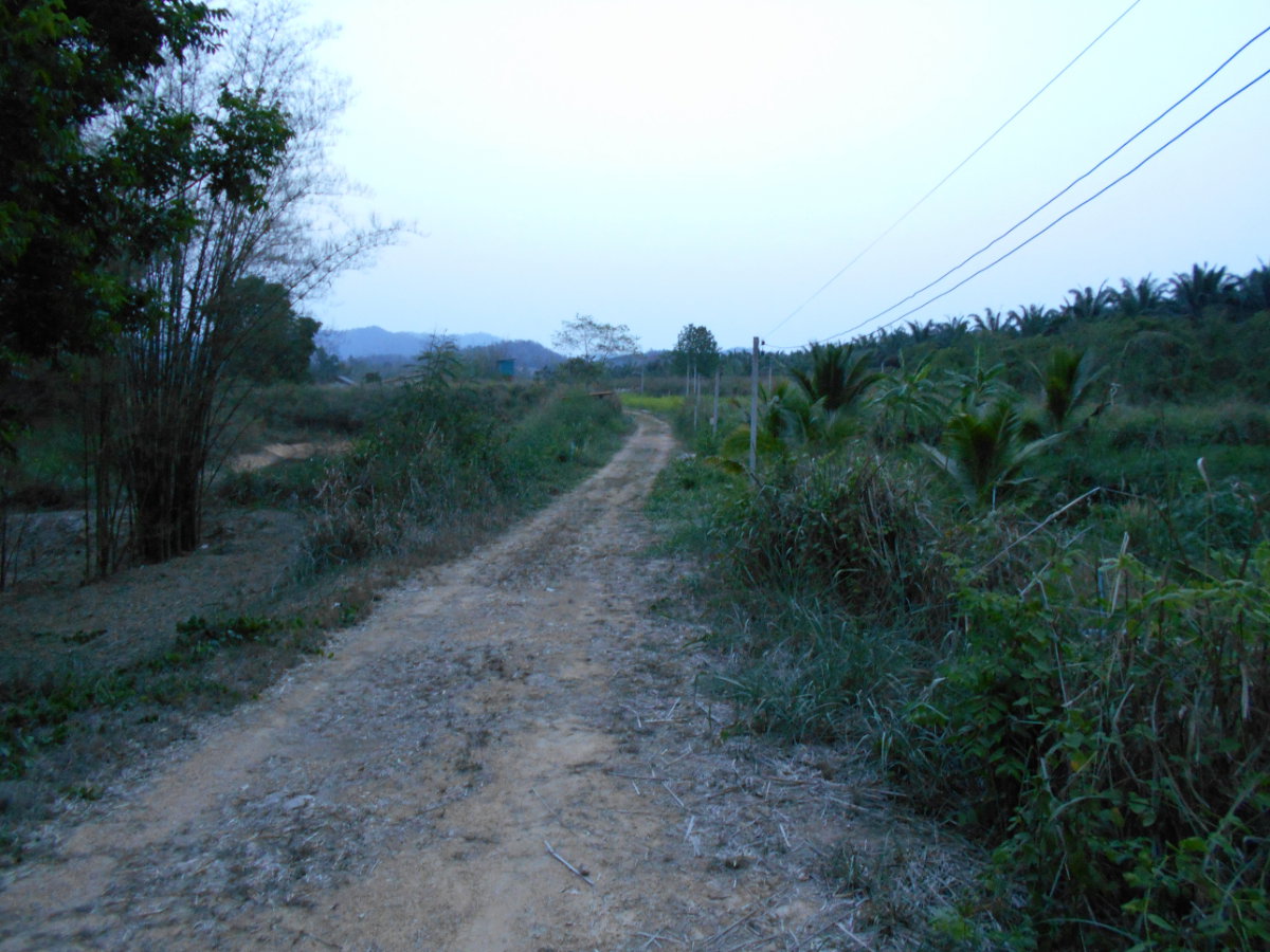 รูป ขายที่ดิน 10 ไร่ พร้อมบ้าน ติดลำห้วย ต.บ้านบึง อ.บ้านคา จ.ราชบุรี - รูปที่ 13/18